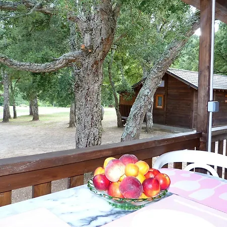 Gasthof In Tavignanu