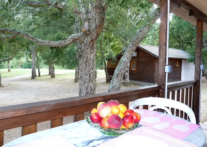 招待所 In Tavignanu